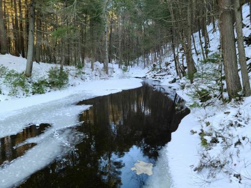 A serene winter scene featuring a partially frozen river surrounded by snow-covered trees and rocky terrain.