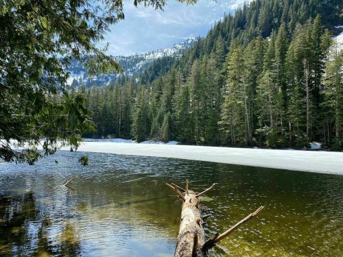 A serene lake surrounded by evergreen trees and snow-capped mountains, with a log partially submerged in the water.