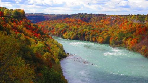 A scenic river flows through a vibrant landscape of autumn foliage in shades of orange, red, and green.