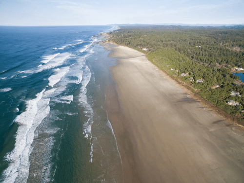 Aerial view of a sandy beach with gentle waves, bordered by lush green trees and a distant coastline.