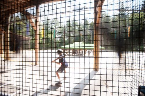 A person swings a bat inside a netted area, with trees and a shaded seating area visible in the background.