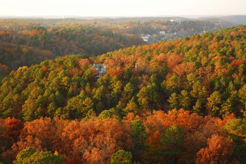 A panoramic view of a forest in autumn, showcasing vibrant orange and green foliage under a clear sky.