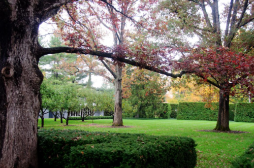 A serene garden scene with colorful autumn trees, lush green grass, and neatly trimmed hedges.