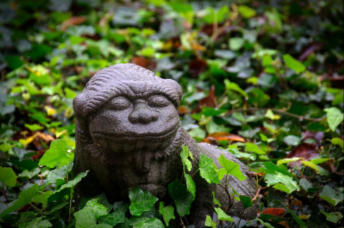 A stone monkey statue partially covered in green ivy leaves, set in a natural outdoor environment.