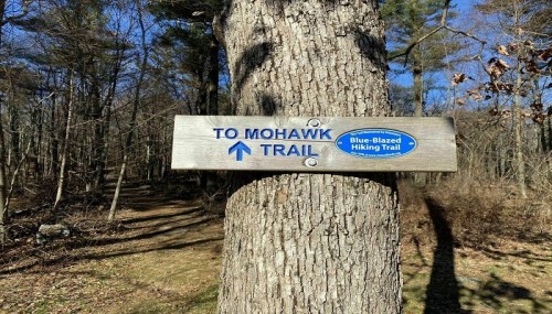 Sign on a tree pointing to the Mohawk Trail, with a blue-blazed hiking trail marker in a wooded area.