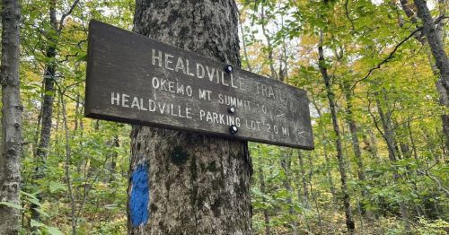 A wooden trail sign on a tree indicating the Healdville Trail and directions to Healdville parking lot, surrounded by trees.