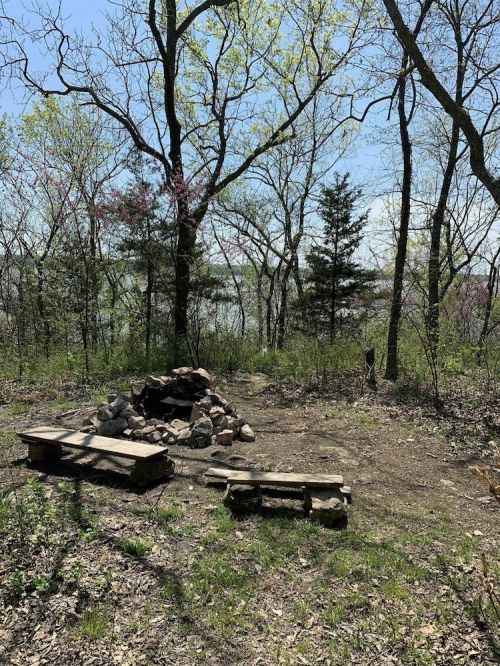 A serene campsite with a stone fire pit surrounded by trees and a view of a lake in the background.