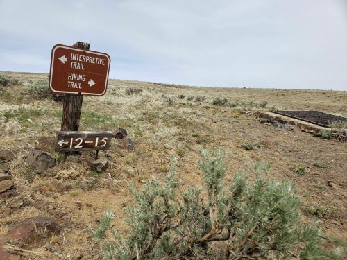 A wooden signpost with arrows pointing to "Interpretive Trail" and "Hiking Trail" in a dry, grassy landscape.