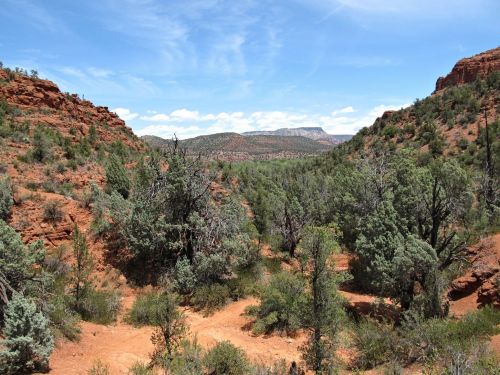 A scenic view of a canyon with red rock formations, green trees, and a blue sky with scattered clouds.