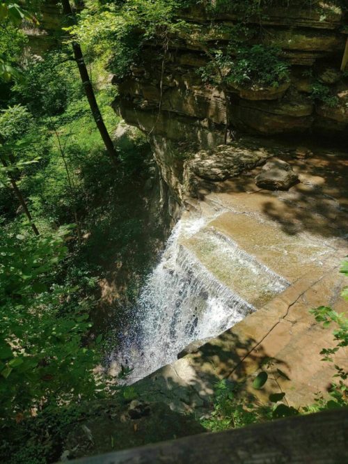 A waterfall cascading over a rocky ledge, surrounded by lush green trees and foliage in a serene natural setting.