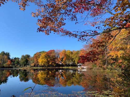 A serene lake surrounded by vibrant autumn foliage under a clear blue sky, reflecting colorful trees in the water.