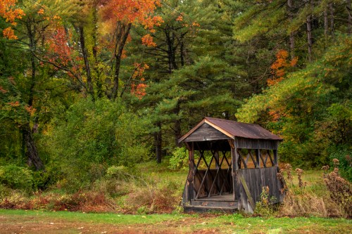 A rustic wooden shelter surrounded by vibrant autumn foliage in a serene forest setting.