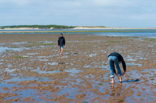 Two people walking on a sandy beach at low tide, with one bending down to pick something up.