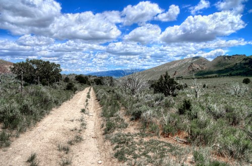 A dirt path winds through a grassy landscape under a blue sky filled with fluffy white clouds and distant mountains.