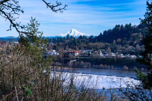 A scenic view of a river with a snowy mountain in the background, framed by trees and a clear blue sky.