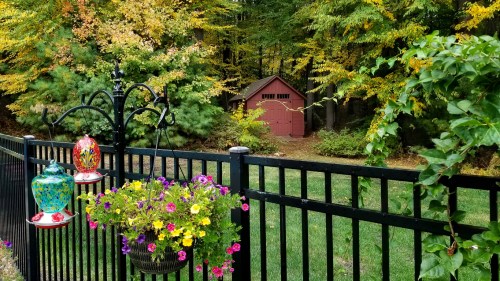 A black fence with hanging flower baskets, surrounded by colorful trees, leading to a red shed in a serene garden.