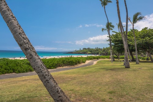 A scenic beach view with palm trees, lush greenery, and people enjoying the sun under a clear blue sky.