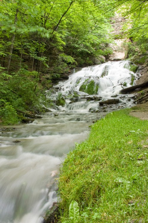 A serene waterfall cascades over rocks, surrounded by lush green trees and grass.