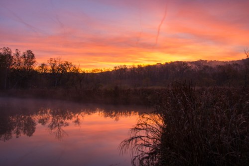 A serene sunset over a misty lake, with vibrant colors reflecting on the water and silhouettes of trees in the background.
