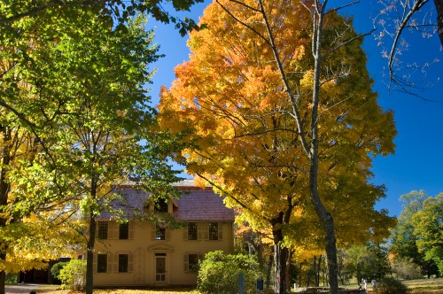 A historic house surrounded by vibrant autumn trees in shades of yellow and orange against a clear blue sky.