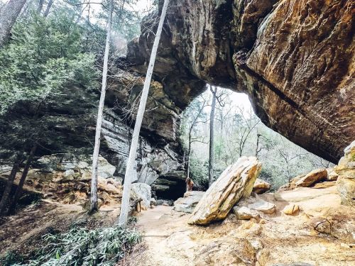 A person stands near a large rock formation in a forested area, surrounded by trees and boulders.