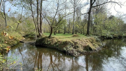 A serene landscape featuring a calm river, lush greenery, and trees reflecting in the water under a cloudy sky.