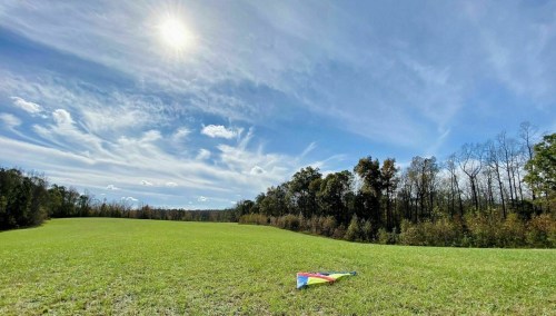 A bright sun shines over a grassy field with a colorful kite lying on the ground and trees in the background.