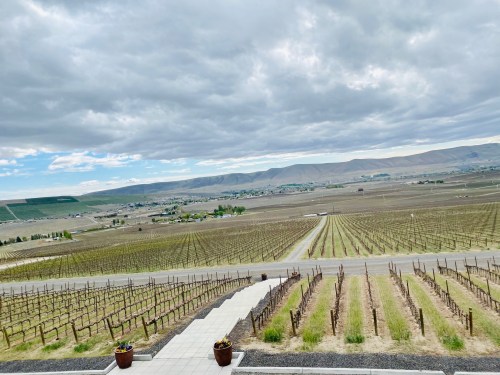 A scenic view of rolling vineyards under a cloudy sky, with distant hills and a small town in the background.