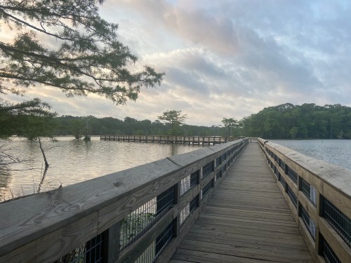 A wooden boardwalk extends over a calm lake, surrounded by trees and a cloudy sky.