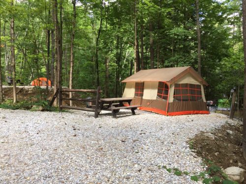 A campsite in a forest with two tents and a picnic table on a gravel area surrounded by trees.