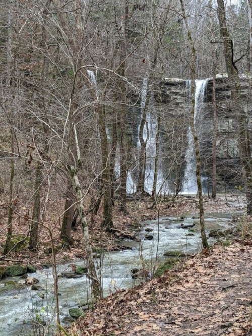 A serene waterfall cascades over rocks, surrounded by bare trees and a flowing stream in a tranquil forest setting.