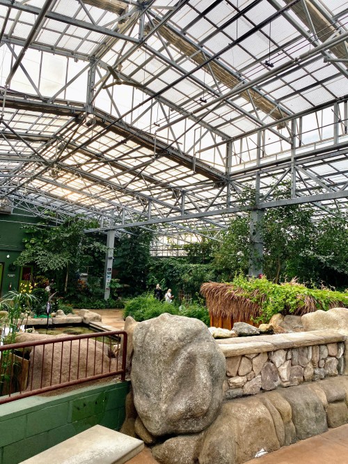 A spacious greenhouse with a glass roof, featuring lush greenery and stone pathways.