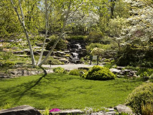 A serene garden with a waterfall, lush greenery, and blooming trees under bright sunlight.