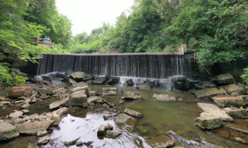 A small waterfall cascades over a stone dam, surrounded by lush greenery and rocky terrain.
