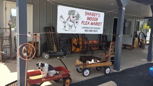 A dog sits in a wagon outside Shaggy's Indoor Flea Market, with a banner advertising vendor opportunities above.
