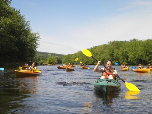 A group of people kayaking on a calm river surrounded by lush green trees under a clear blue sky.
