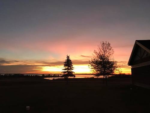 A vibrant sunset over a lake, with silhouettes of trees and a house in the foreground.