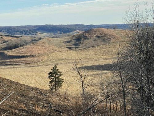 Rolling hills with golden fields and sparse trees under a clear sky, showcasing a serene rural landscape.