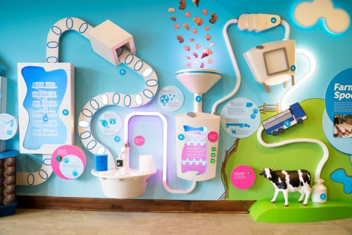 Interactive display illustrating the dairy production process, featuring colorful graphics and a cow figure.