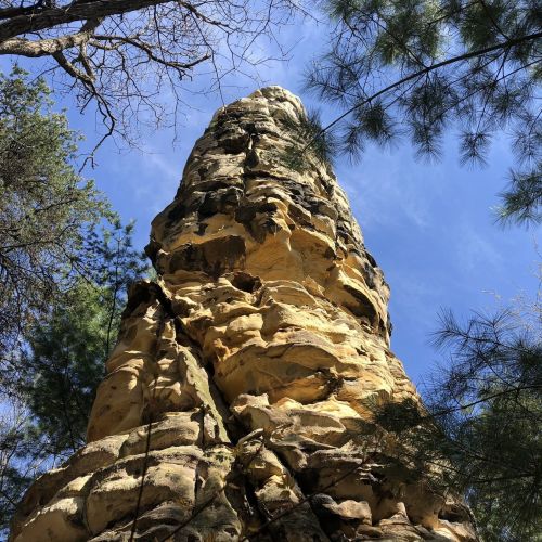 A tall, rocky spire rises against a blue sky, surrounded by green trees and branches.