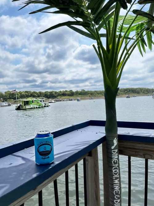 A palm tree beside a can of beer on a deck overlooking a calm lake with boats in the distance under a cloudy sky.
