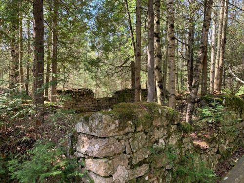 Ruins of stone walls covered in moss, surrounded by dense trees and greenery in a tranquil forest setting.