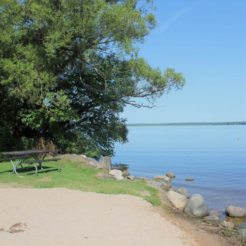 A serene lakeside view with a sandy shore, rocks, and a picnic table under a tree on a clear day.