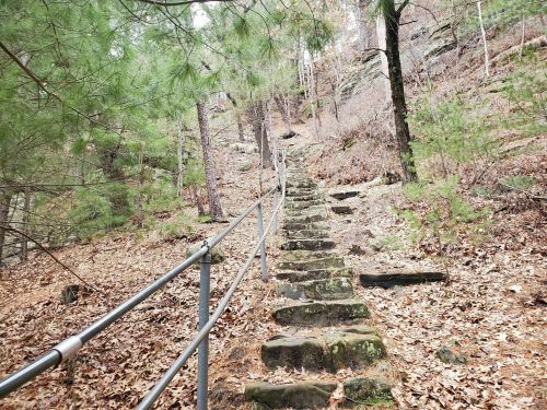 A stone staircase leads up a wooded hillside, surrounded by trees and fallen leaves.