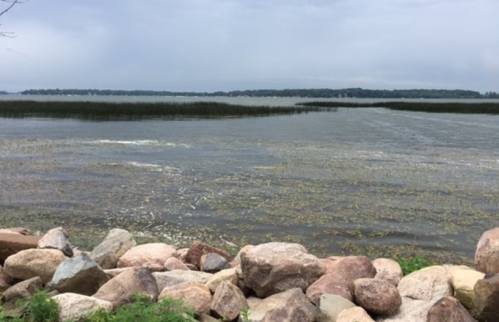 A calm lake scene with rocky shorelines and lush greenery, under a cloudy sky. Reeds are visible in the water.