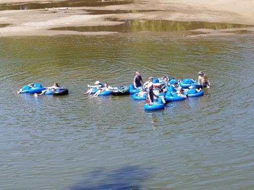 A group of people floating on blue inner tubes in a calm river, enjoying a sunny day.