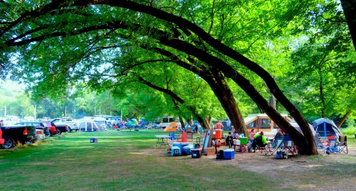 A vibrant campsite with tents and campers under lush green trees, featuring picnic areas and coolers.