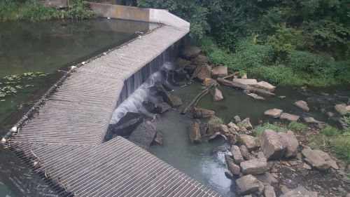 A small waterfall flows over a metal grate into a rocky stream, surrounded by lush greenery.