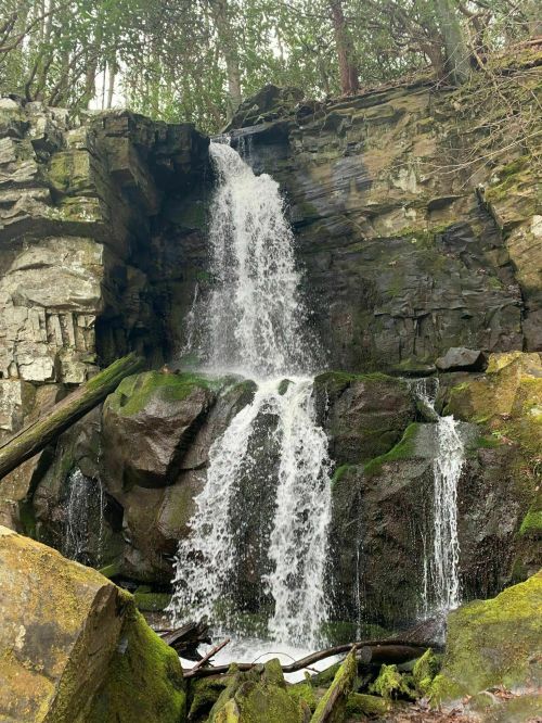 A cascading waterfall flows over moss-covered rocks in a lush, green forest setting.
