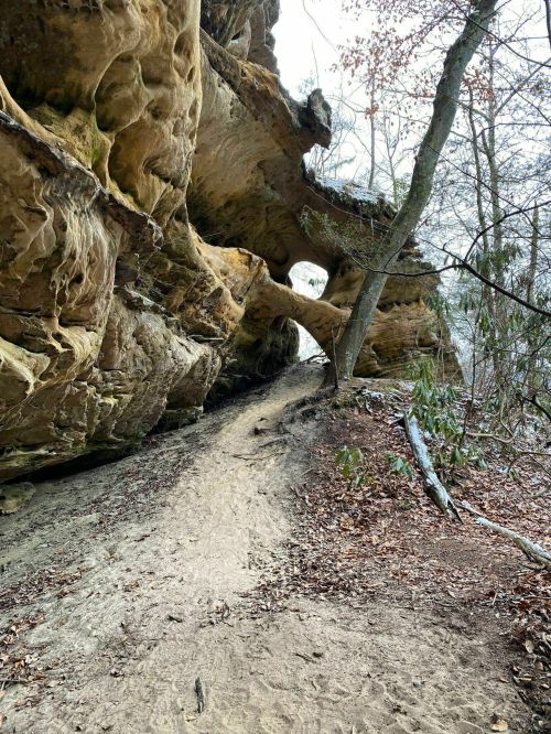 A winding dirt path leads through a rocky landscape with unique rock formations and sparse trees.